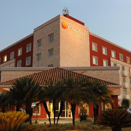 Comfort Hotel Araraquara Ngoại thất bức ảnh